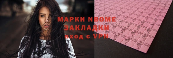 гашик Тихвин