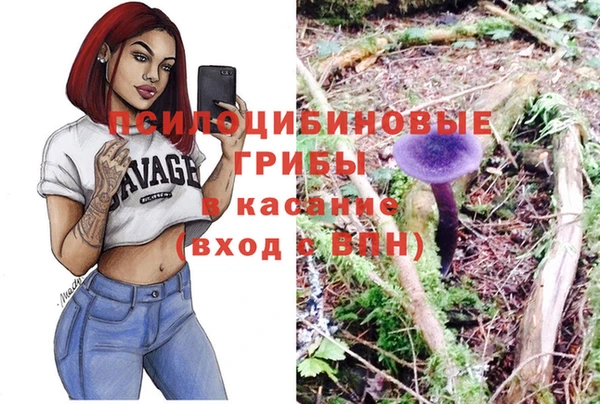 бошки Вяземский