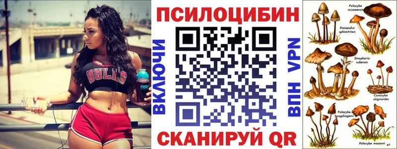 Галлюциногенные грибы Cubensis  Заозёрный 